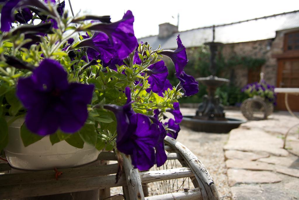 Relais Saint Aubin Bed & Breakfast Erquy Ngoại thất bức ảnh